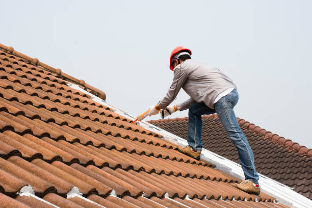 Best Roof Maintenance and Cleaning  in Paris, KY